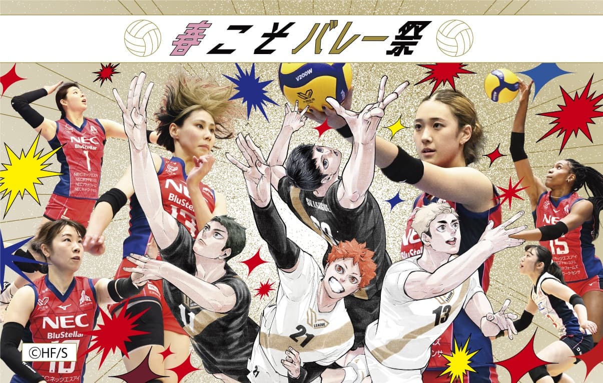3月21日(土)・22日(日) vs ヴィクトリーナ姫路 ｜ 試合情報特設ページ